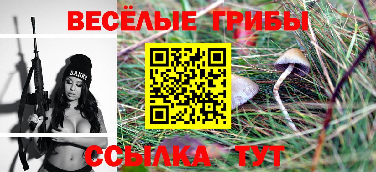 Галлюциногенные грибы мухоморы Губаха