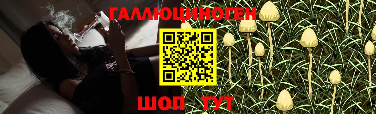 Галлюциногенные грибы GOLDEN TEACHER  купить  сайты  Губаха  Вход с VPN 